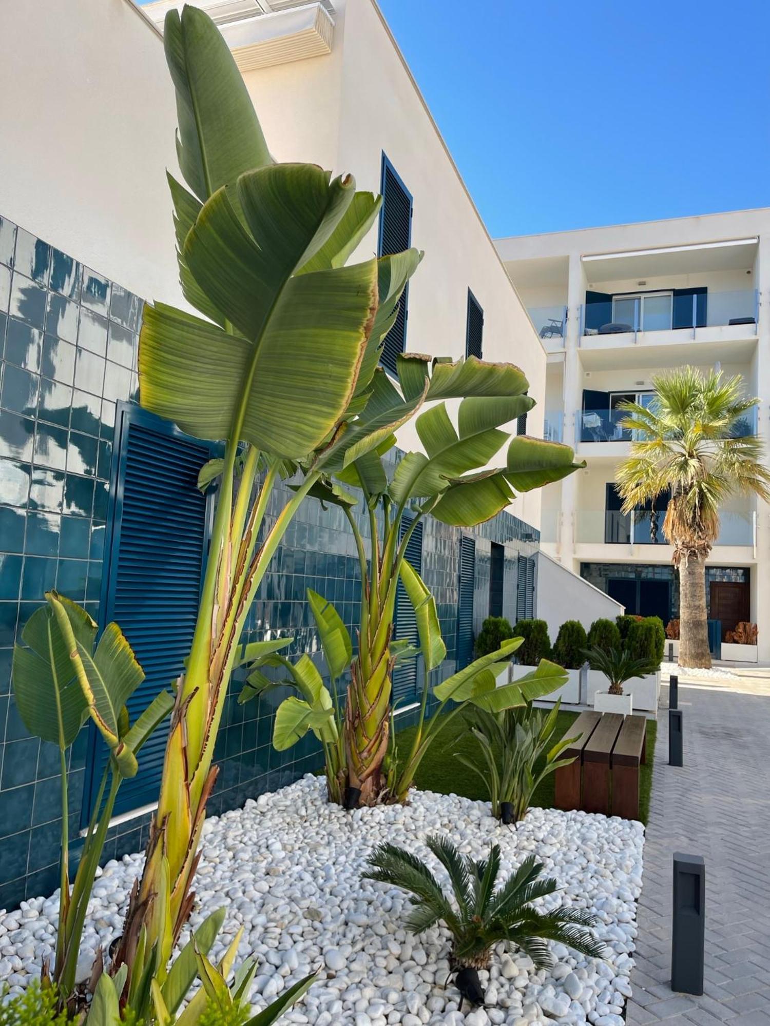 Hola Blanca - Sea, Golf, Chill Leilighet Dehesa de Campoamor  Eksteriør bilde