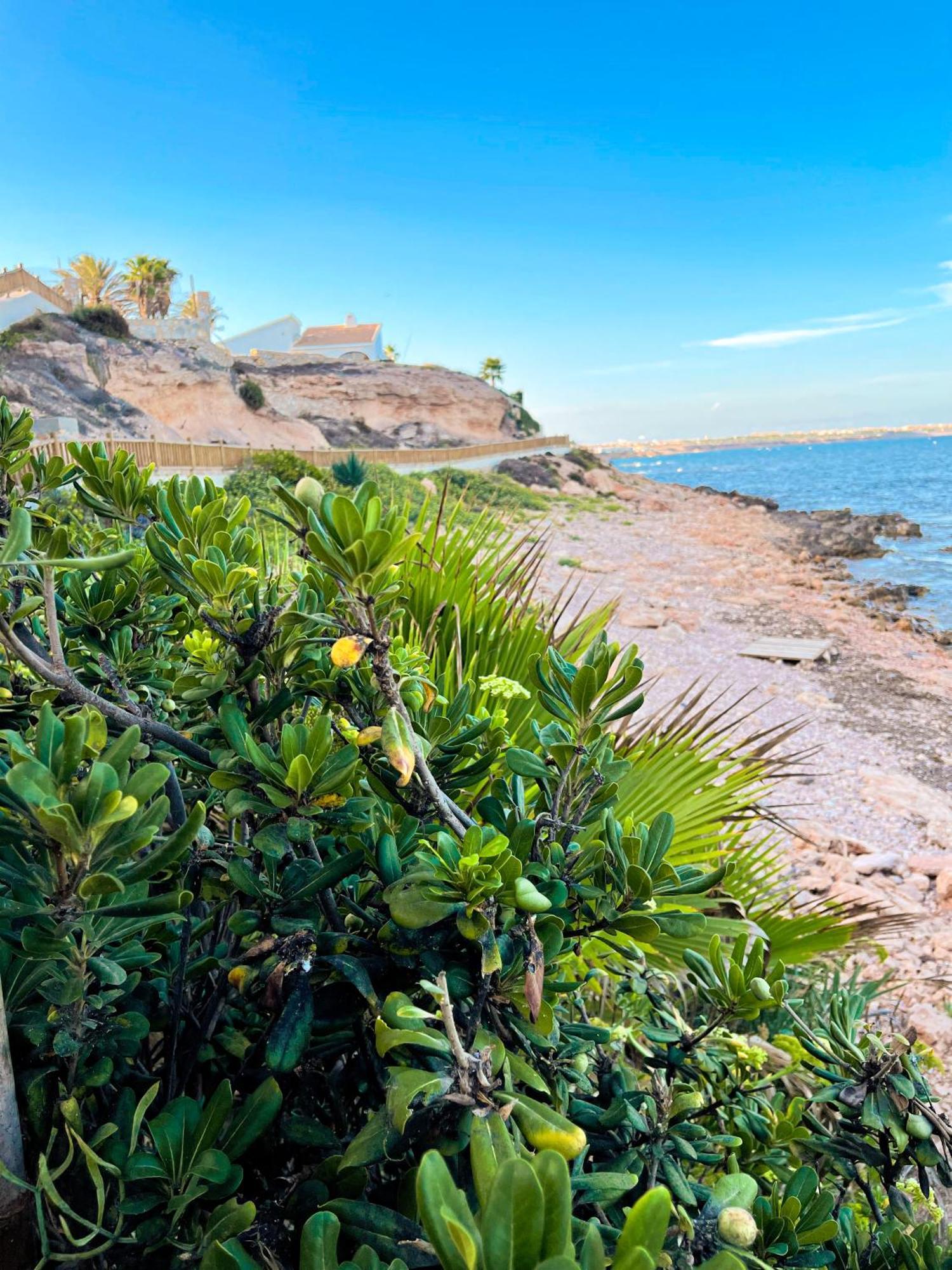 Hola Blanca - Sea, Golf, Chill Leilighet Dehesa de Campoamor  Eksteriør bilde