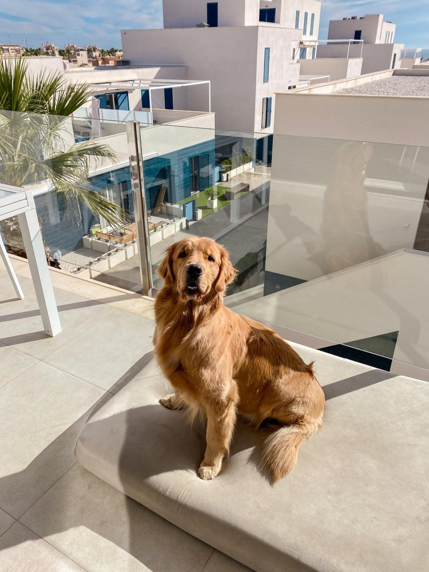 Hola Blanca - Sea, Golf, Chill Leilighet Dehesa de Campoamor  Eksteriør bilde